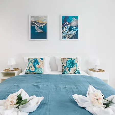 Wellness & Aquamarine By Renters *